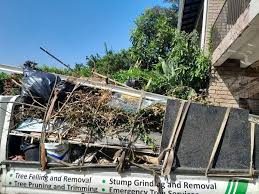 Best Attic Cleanout  in Red Bank, TN